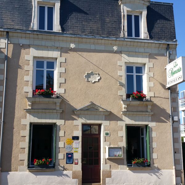 Le romarin